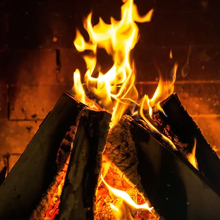 فندق Esplanade & - Adults Only باد سارو